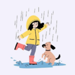 Polský Bazoš: Jak Najít Nejlepší Lokální Nabídky Během Vaší Cesty