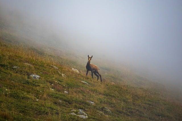 Bulharsko nejlepší pláže: Kde najít idylické kouty?