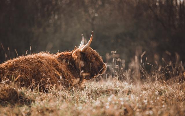 4. Jak si užít klidné a relaxační ‌počasí na pláži