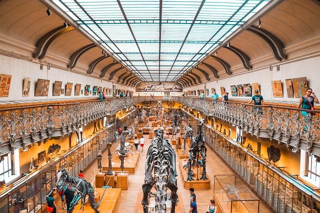 Muzeum Těšínska - Pokladnice poznání o regionální historii a kultuře