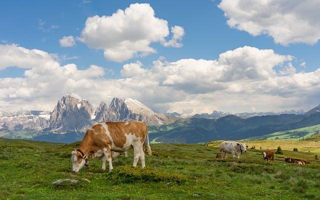 Severní Itálie jako⁣ rodinná ⁣destinace: Zábava a relaxace pro celou rodinu