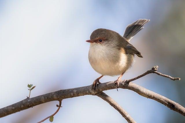 Skvělá kulinářská scéna: Kde ochutnat ty nejlepší mořské plody