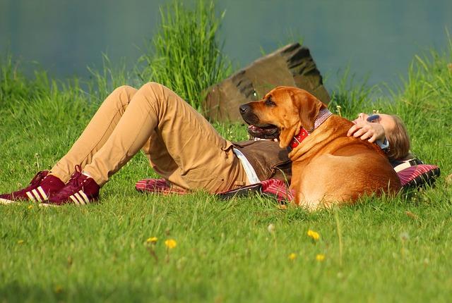 Nejlepší⁣ pláže⁣ na Sardinii:⁤ Krásné pobřeží a bílý⁤ písek