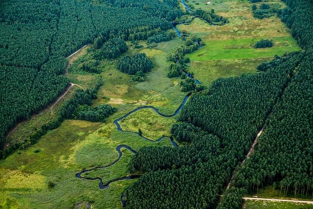 Polsko ve světle mezinárodních vztahů a evropské integrace